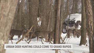 Urban deer hunting could come to Grand Rapids [upl. by Lionel]