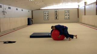 Ukemi  How to Fall Down Safely Basic Concepts [upl. by Wiles888]