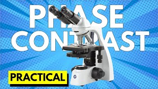 Phase contrast microscopy practical  How to use phase contrast microscope [upl. by Neeruan]