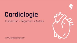 Téguments Autres  Inspection de Cardiologie [upl. by Gilford]