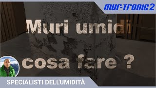 La tua soluzione per i muri umidi  edizione casalinga disperata [upl. by Schaefer]