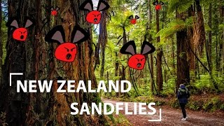 Sandflies New Zealands darkest secret [upl. by Conan]