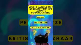 Wie viel weißt du über Katzenfutter 🍽️🐱 katzenquiz [upl. by Iva]