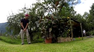 Golf Trickshots Backyard Edition [upl. by Latona]