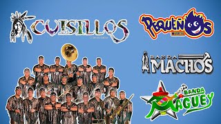 Banda Cuisillos Pequeños Musical Bana Machos MagueyBandas Viejitas Pero Bonitas Mix Movidas [upl. by Lucias]