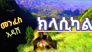 ክላሲካል Best ethiopian Instrumental Music Collections Eritrea Classical Music Non Stop golem [upl. by Kassab]