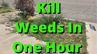 How To Kill Weeds In Landscape [upl. by Aciretahs]