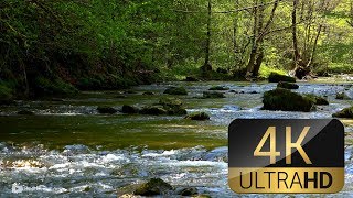 Relaxing River Sounds  Peaceful Forest River  2 Hours  Nature Video [upl. by Herson]