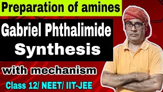 Gabriel Phthalimide synthesis with mechanism 06  Preparation of amines  Class 12 NEET IITJEE [upl. by Eikcuhc715]