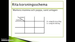 Rita korsningsschema [upl. by Einniw]