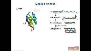 Cell Biochemistry Part 3 [upl. by Jedd]