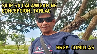 Silip sa Lalawigan ng Concepcion Tarlac City Brgy Comillas [upl. by Ayit678]