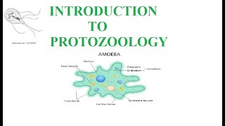 Introduction to Protozoology parasites in protozoolozy [upl. by Lakym]