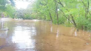 Newport Tn flooding 24 Jimtown rd [upl. by Ramel527]