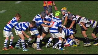 Central Eastwood Vs Collaroy U10 B Semi Final 2016 [upl. by Snapp]