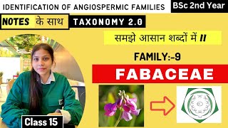 Fabaceae Family 🥜 Floral diagram and formulas  Taxonomy  Economic importance [upl. by Eneles]