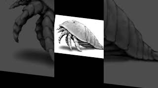 Fave eurypterid pics music guitar christmas song idkwhatimdoingwithmylife halloween [upl. by Vories]