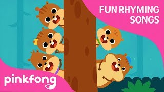 Five Little Squirrels  Fun Rhyming Songs  Count 1 to 5  Pinkfong Songs for Children [upl. by Kenney696]