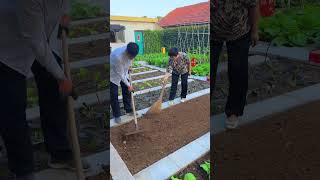 Taking care of the vegetable garden every day is busy and fulfilling mysmallvegetablegarden [upl. by Oilegor796]