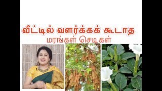 வீட்டில் எல்லா மரங்களும்செடிகளும் வளர்க்கலாம்Grow plants and treesஅனிதா குப்புசாமிAnitha Kuppus [upl. by Hanako]