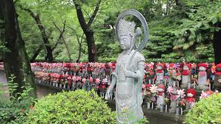 Buddhas Birthday also known as Hana Matsuri quotFlower Festivalquot in Japan on April 8th [upl. by Labaw267]