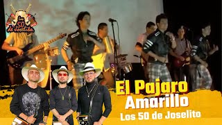 Los 50 Joselito  El Pájaro Amarillo AUDIO HD [upl. by Kung]