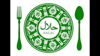 The halal food in London [upl. by Naleek]