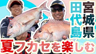 夏のフカセ釣りを楽しもう、マダイampチヌ狙い～宮城県田代島 [upl. by Lory]