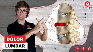 Dolor Lumbar causado por Hernias Discales y Protusiones Ejercicios para Aliviar la Lumbalgia [upl. by Ugo273]