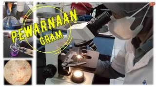 Tutorial Prosedur PEWARNAAN GRAM dengan Penjelasannya [upl. by Hoban]