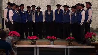 Jodlerdoppelquartett Zug am Eidg Jodlerfest in Brig 2017 [upl. by Nagud]