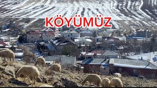 18 Aralık 2024 2 YIL ÖNCE KOYUNLARIMI KURT KIRMIŞTI [upl. by Emmy]