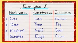 10 Examples of Herbivores Carnivores and Omnivores  Herbivores Carnivores and Omnivores Animal Name [upl. by Watanabe130]