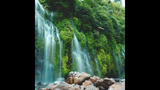 Regen Natur Geräusche Der Regenwald von Amazonas [upl. by Dionysus]