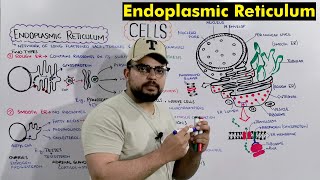 Endoplasmic reticulum Structure and Functions Detailed Series [upl. by Seluj]