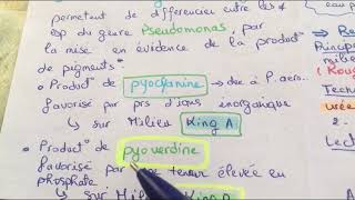 Tp systématique  famille des pseudomonadaceae  L3 microbiologie  🏨🧪 [upl. by Lewap]