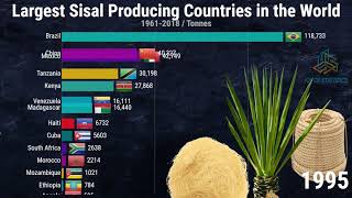 Largest Sisal Producing Countries in the World [upl. by Helas163]