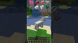 Mobs Test vs Fall Damage in Minecraft meme shorts minecraft [upl. by Foulk]