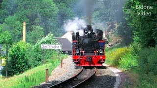 Eisenbahn 2012 45 Dampfloks  Steam Trains  Züge [upl. by Tsenre]