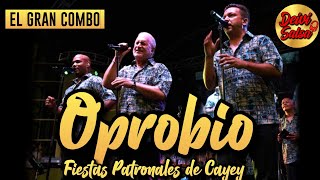 El Gran Combo  Oprobio Live  Fiestas Patronales De Cayey [upl. by Akehsat165]