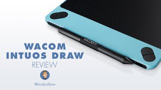 Wacom Intuos Draw Review [upl. by Mapel]