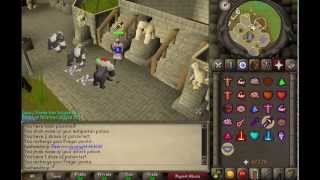 07 Old School Runescape AFK Training Monkey Guards [upl. by Letnoj]