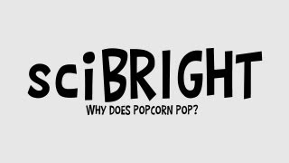 Why Does Popcorn Pop [upl. by Ko]