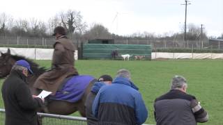 Templetouhy coursing Cup 2105 1st round [upl. by Karlin]