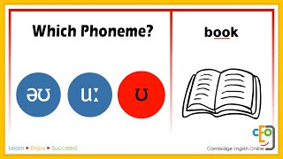 Which Phoneme Part 3 [upl. by Nakre]