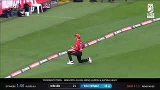 Jake FraserMcGurk single handed catch in Bigbash BBL11 [upl. by Pickford483]