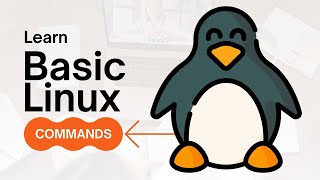 Linux Commands Tutorial for Beginners  Learn Basic Linux Commands [upl. by Gretchen]