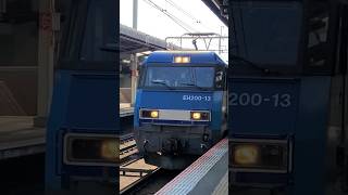 【ブルーサンダー】EH200牽引の貨物列車が稲毛海岸駅を通過するシーン [upl. by Ahsele123]