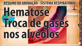 Hematose  Troca de gases [upl. by Ebag871]