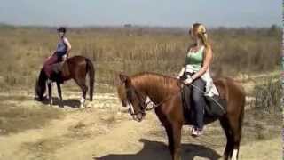 horseback riding resort reiki and yoga retreat [upl. by Einaj]